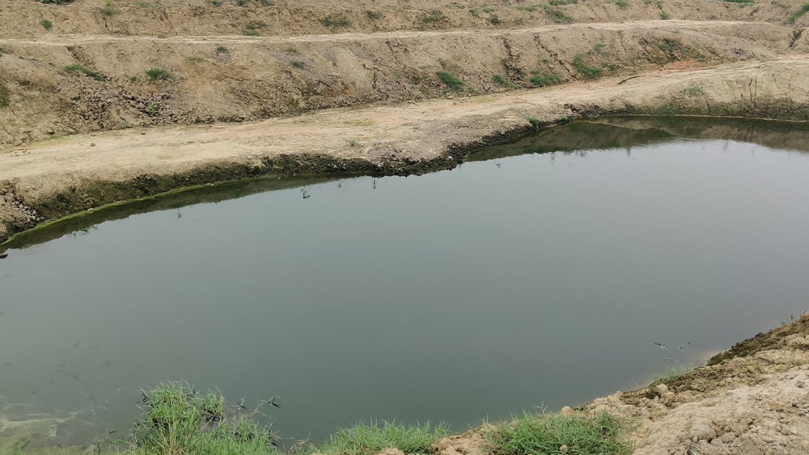 Pond Restoration, Morta, Ghaziabad